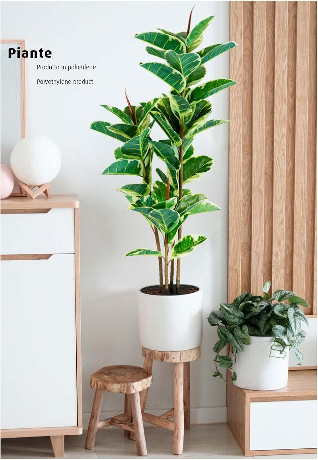 King Home pianta FICUS ELASTICA H. 145 cm 54 FOGLIE completa di vaso con muschio