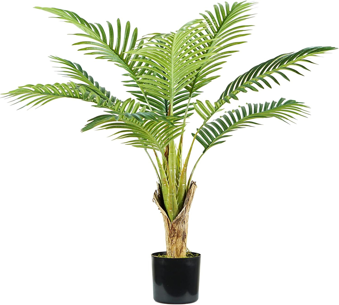 King Home pianta PALMA ARECA H. 90 cm 9 FOGLIE completa di vaso con muschio