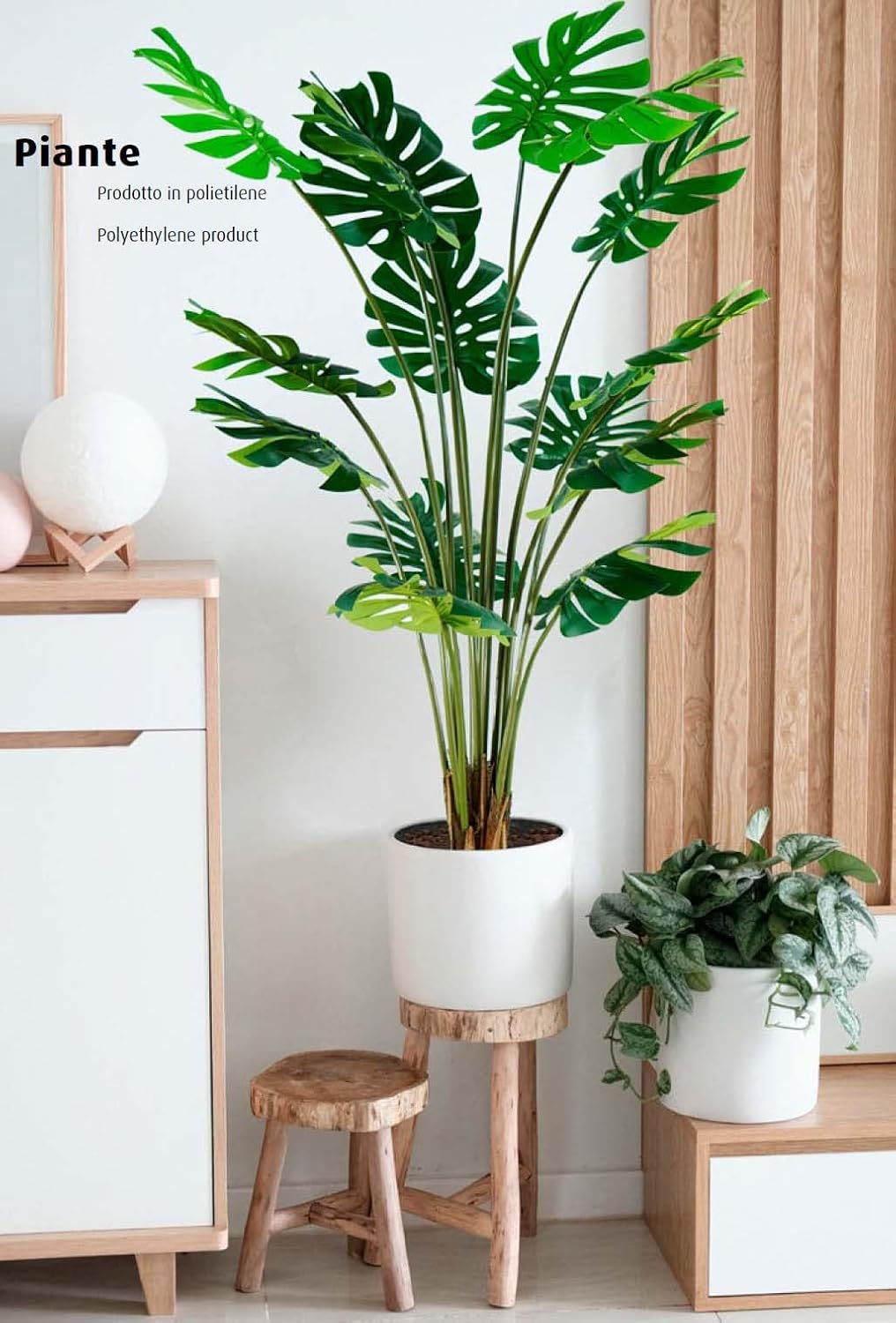 King Home pianta MONSTERA H. 170 cm 16 FOGLIE completa di vaso con muschio
