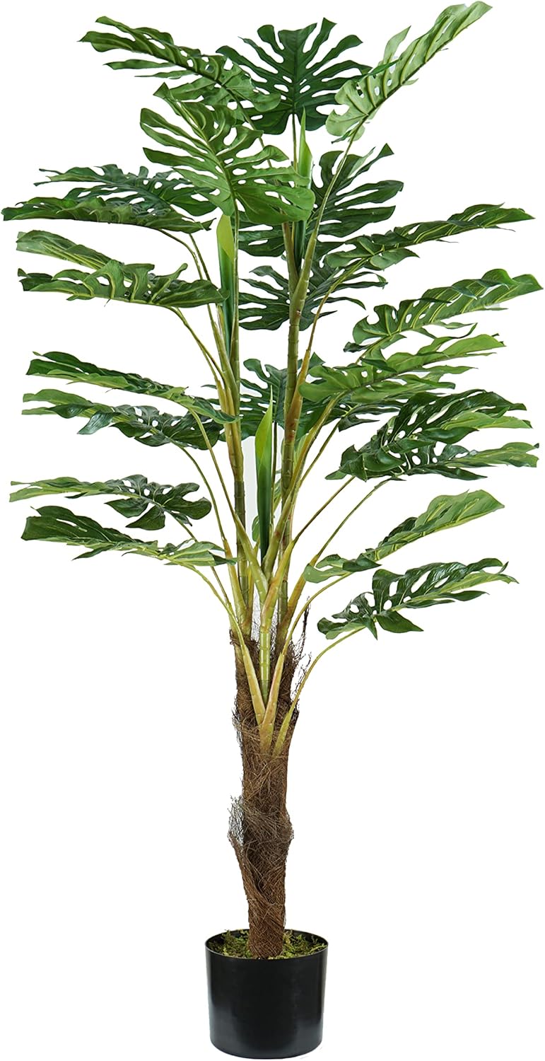King Home pianta MONSTERA H. 120 cm 24 FOGLIE completa di vaso con muschio