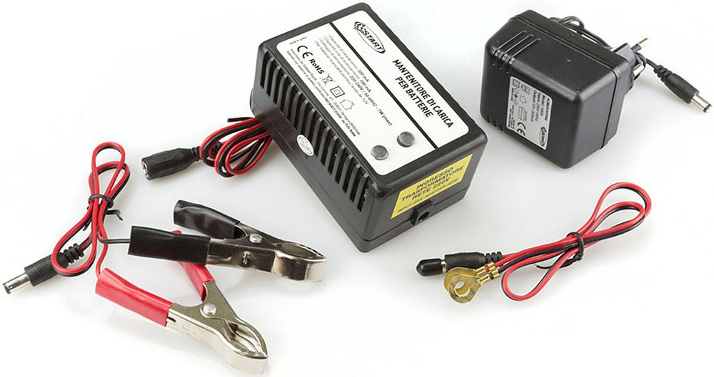 Mantenitore di Carica per Batterie Auto e Moto  Protezione e Durata