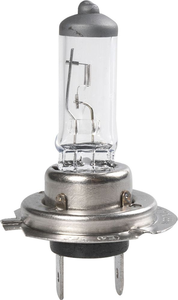 QUANTUM ENERGY Magneti Marelli H7 lampadina singola auto long life 12V 55W