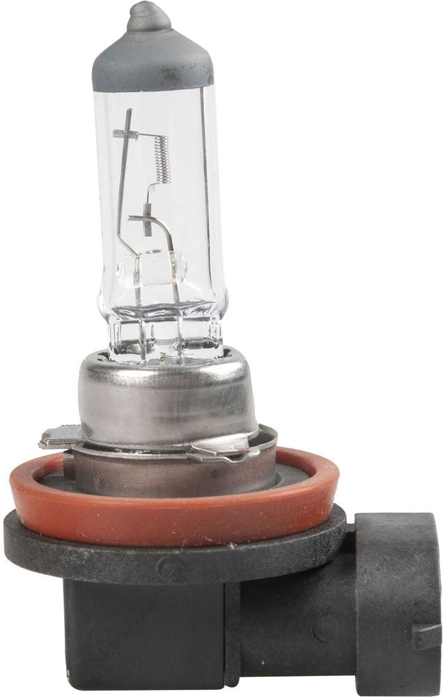 Magneti Marelli H11 lampadina singola Alogena auto 12V 55W attacco PGJ19-2