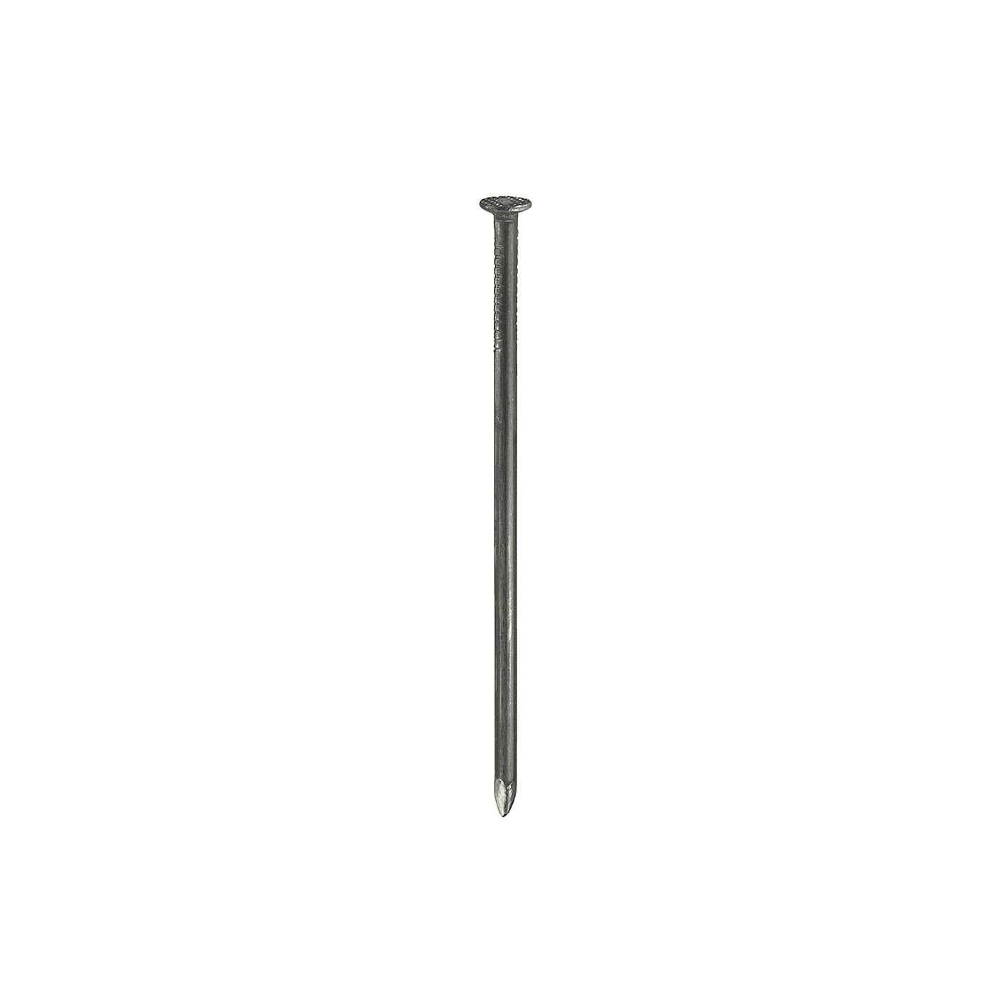 Chiodi testa piana 3,1 x 70 - 2,5 kg.