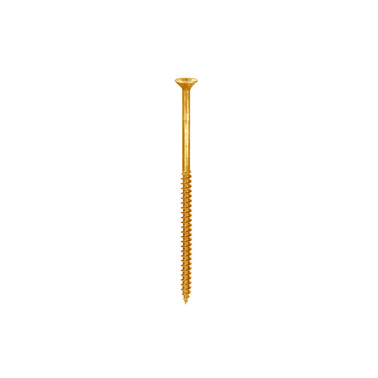 Viti impronta Torx 6,0 x 100 - 10 pz.