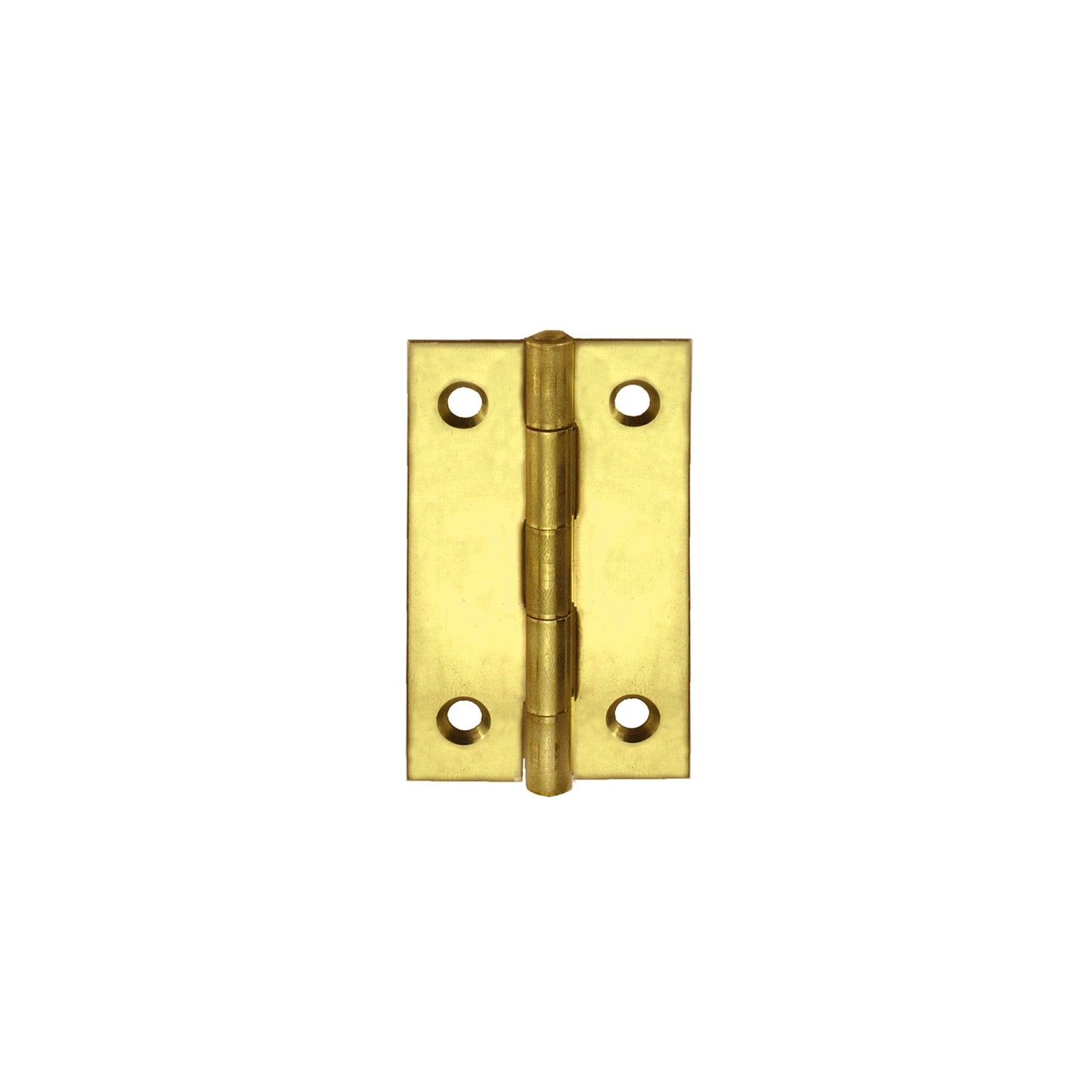Cerniere per cofanetti in ferro ottonato 20x30 mm. 4 pz.